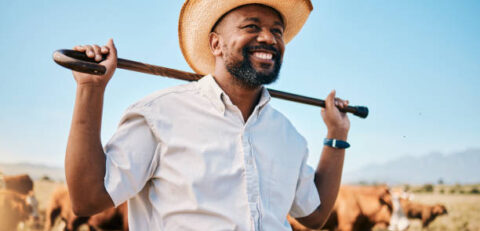 Cows, thinking or happy black man on farm agriculture for livestock, sustainability and agro business in countryside. Smile, dairy production or farmer farming a cattle herd or animals on grass field